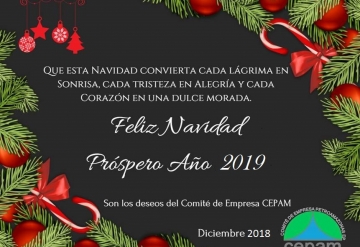 Feliz Navidad 2018 CEPAM